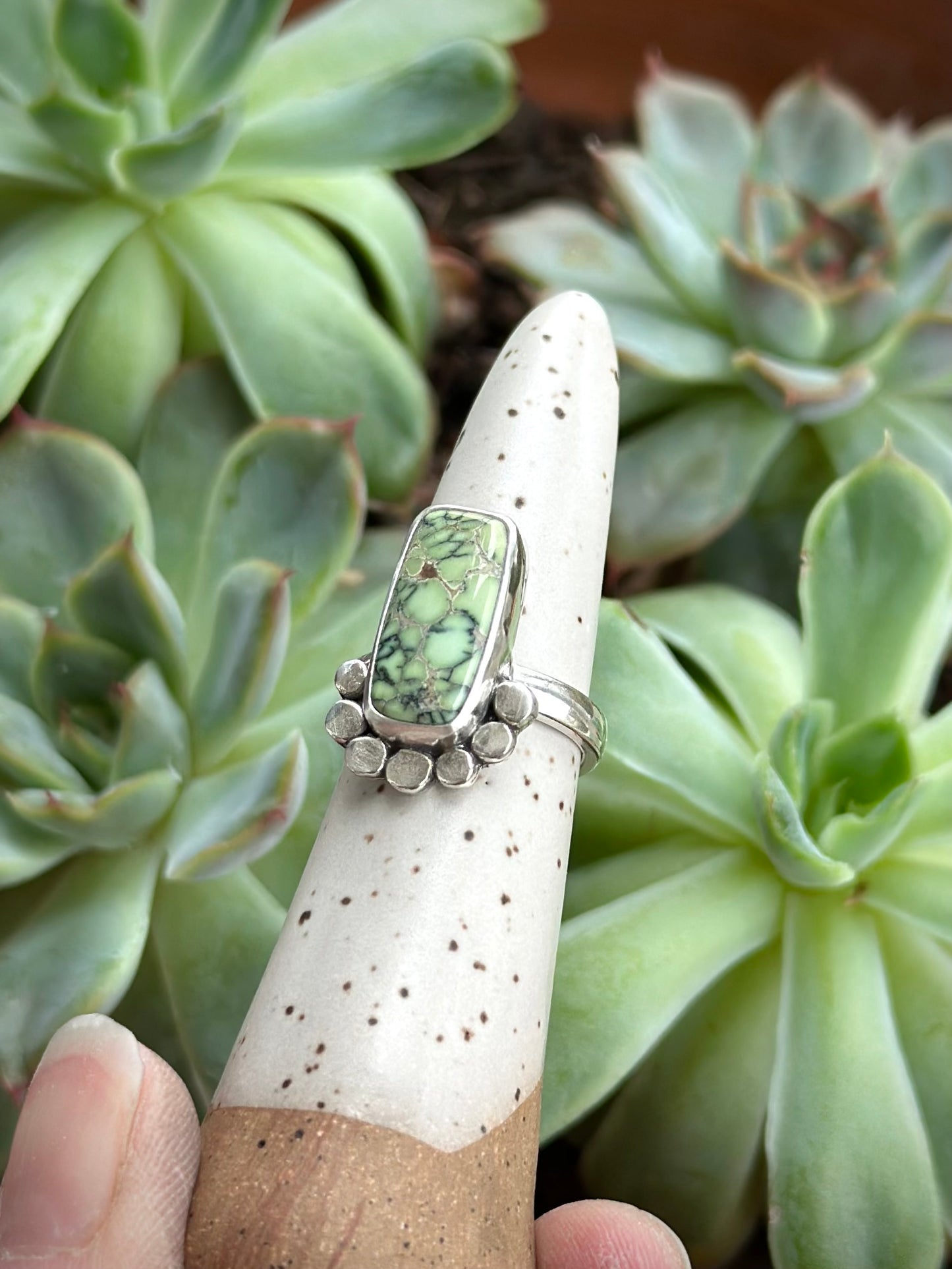 Nautilus Variscite Bar Ring