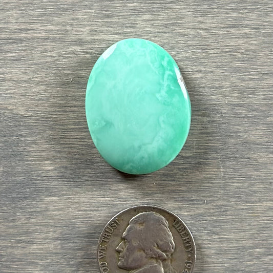 Desert Bloom Variscite Cabochon 44