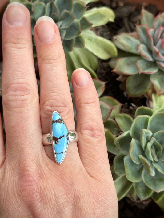 Golden Hills Turquoise Ring size 7