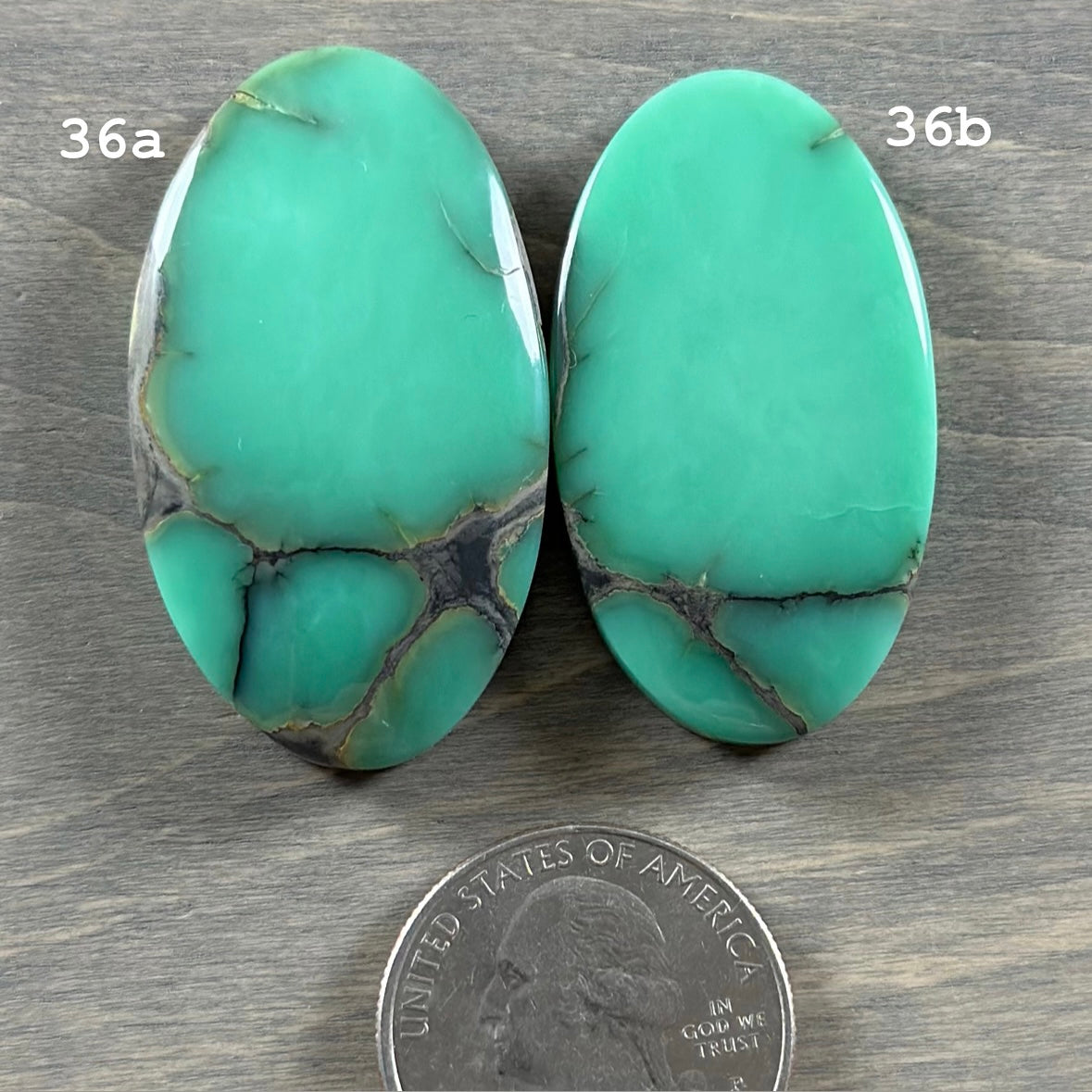 Desert Bloom Variscite Cabochon 36