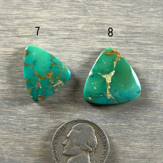 Hardy Pit Turquoise Cabochon 7