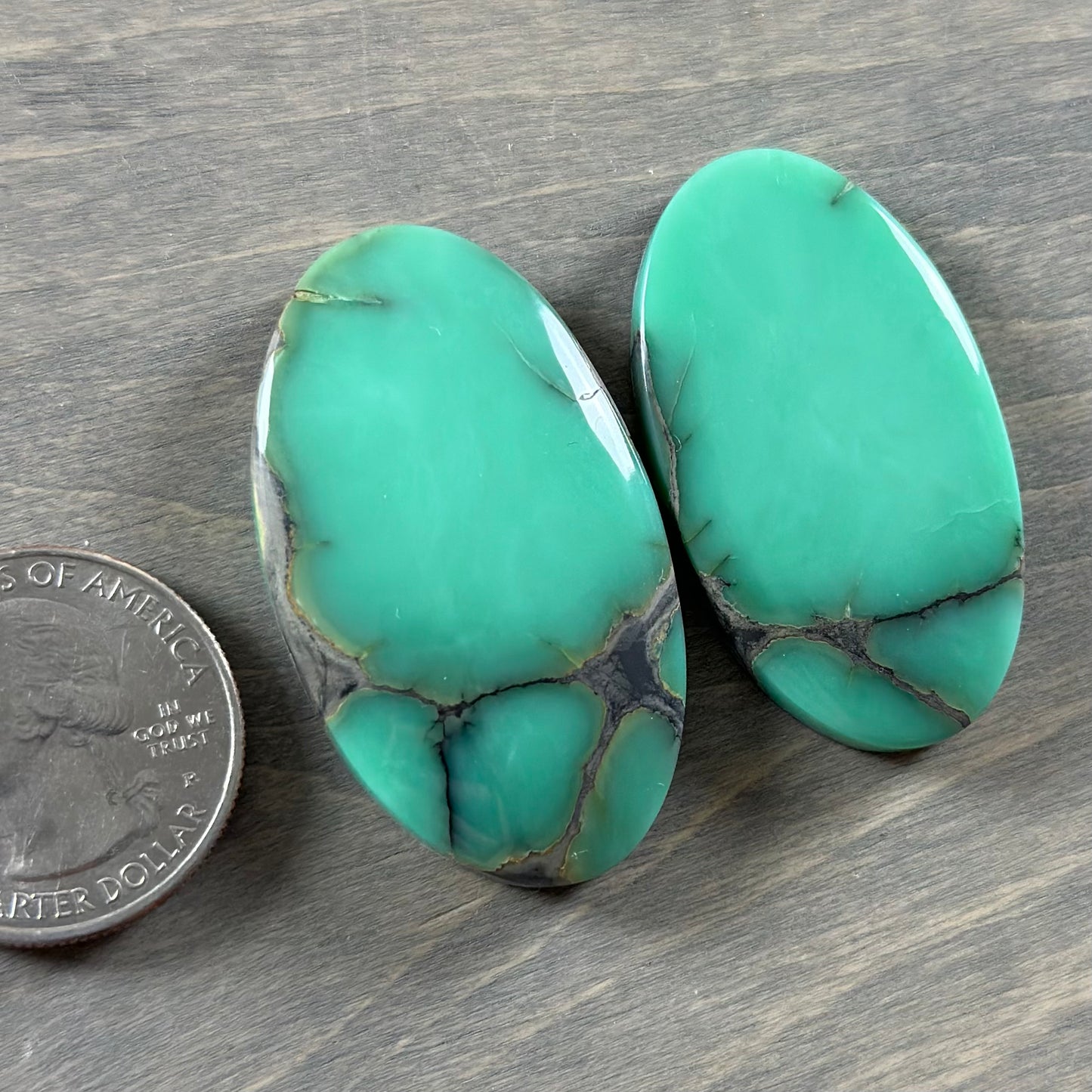 Desert Bloom Variscite Cabochon 36
