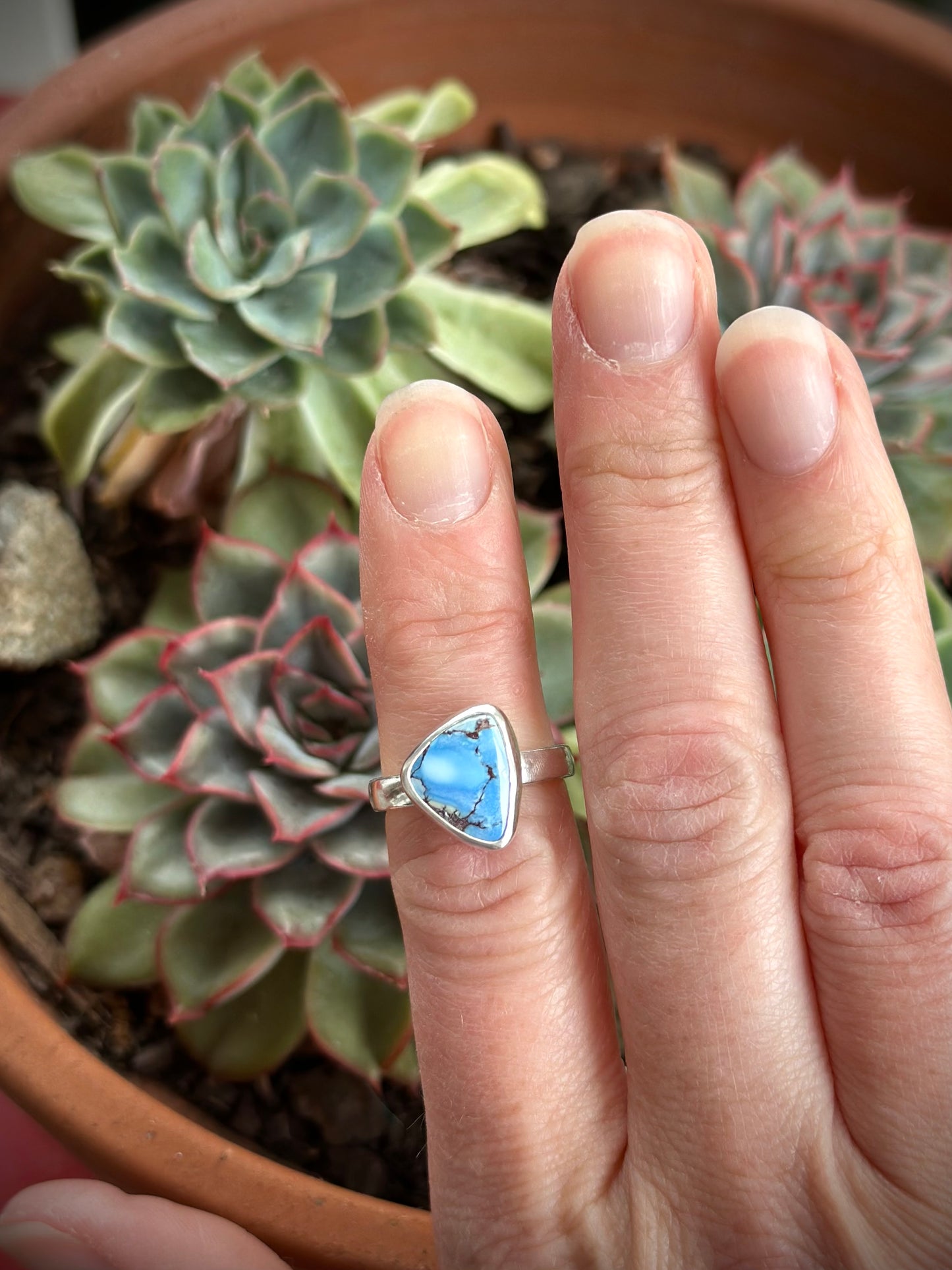 Golden Hills Turquoise Ring size 6.5
