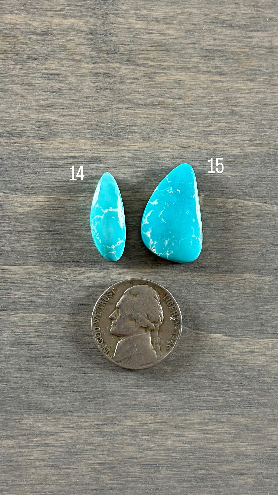 Fox Turquoise Cabochon 14, 15