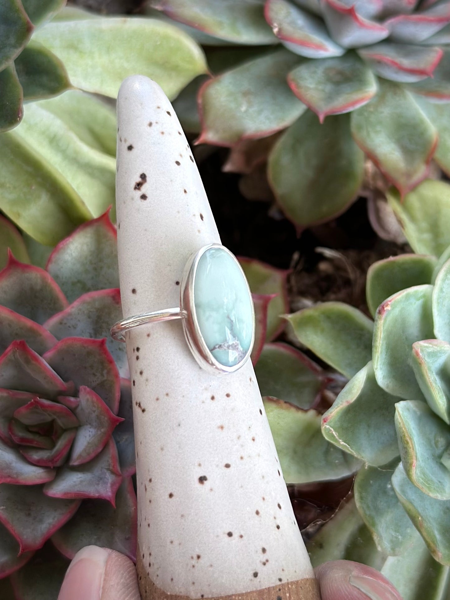 Calypso Variscite Ring in size 6.25