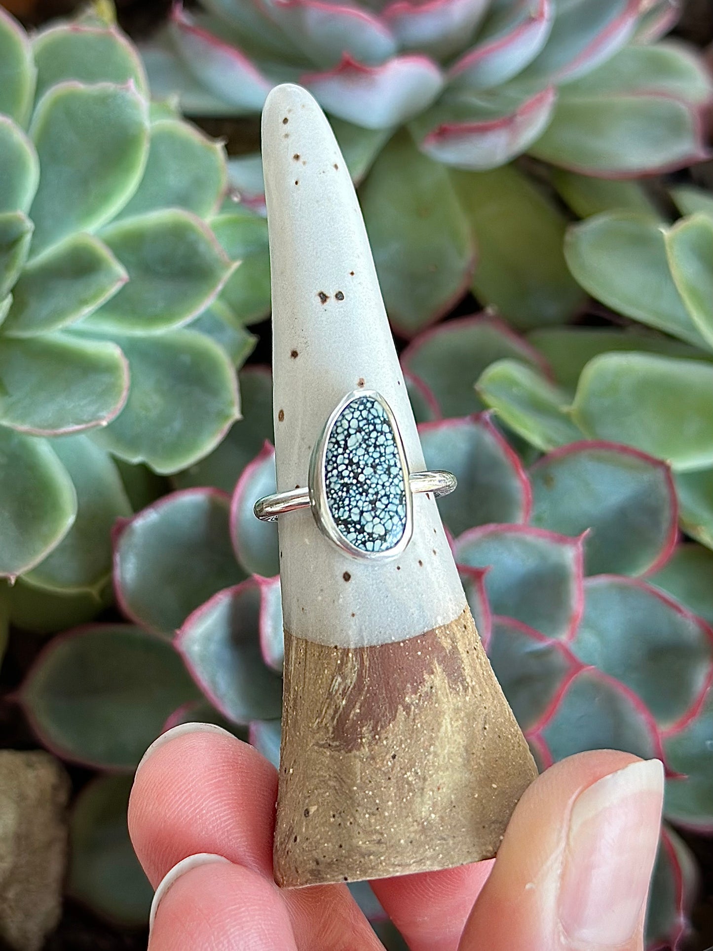Desert Bloom Variscite Hinge Earrings + New Lander Variscite Ring