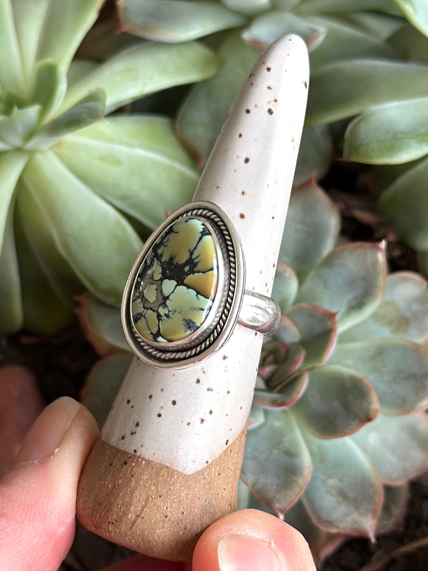 Nautilus Variscite Ring size 8.5