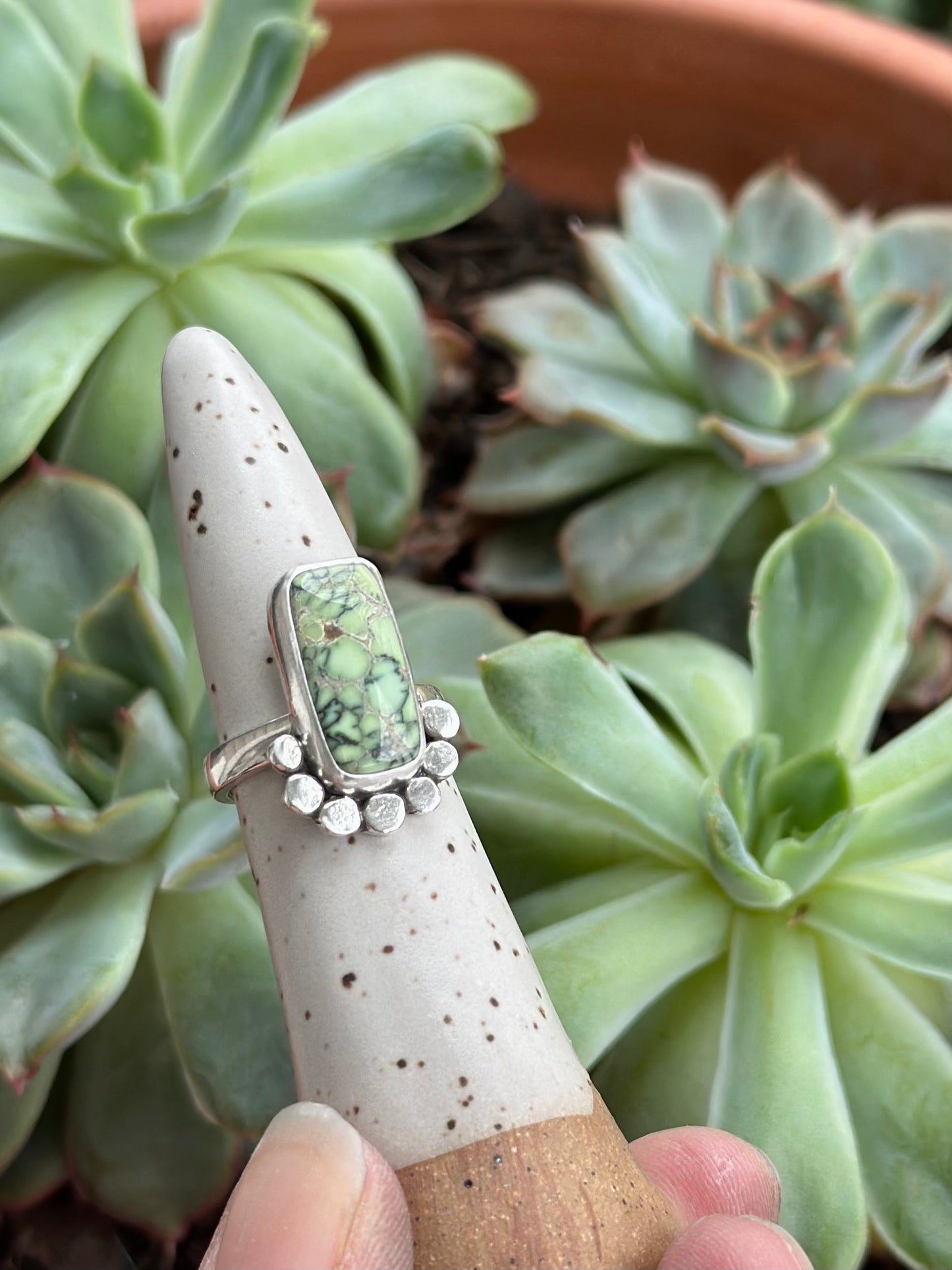 Nautilus Variscite Bar Ring