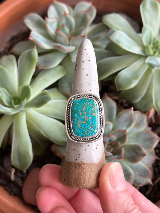 Catalina Turquoise Shadowbox Ring in size 9