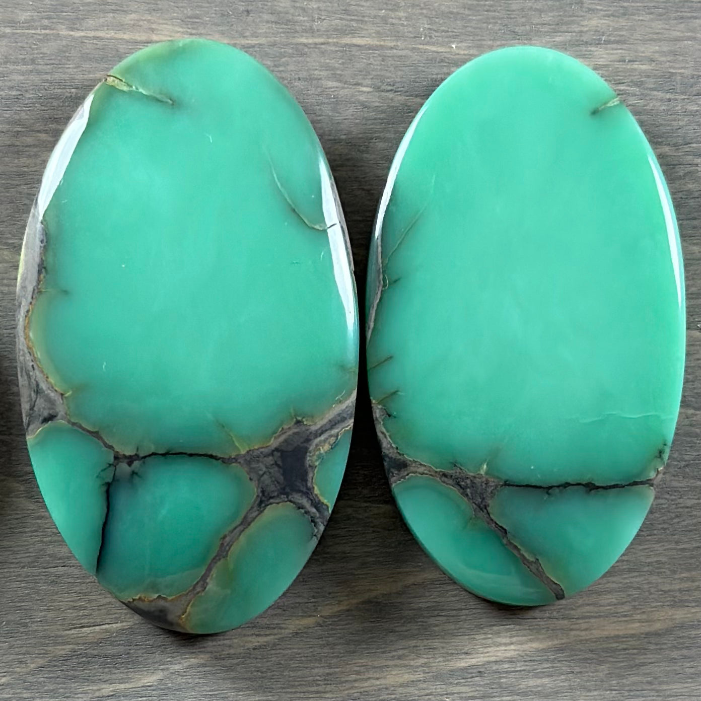 Desert Bloom Variscite Cabochon 36