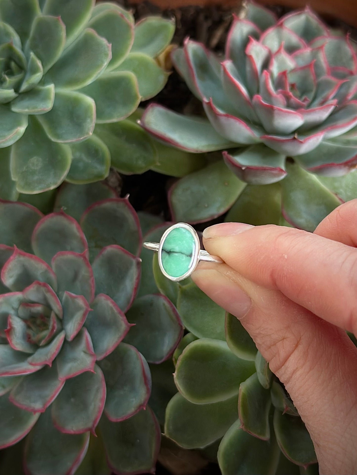 Desert Bloom Variscite Stacker Ring in size 6-1/2