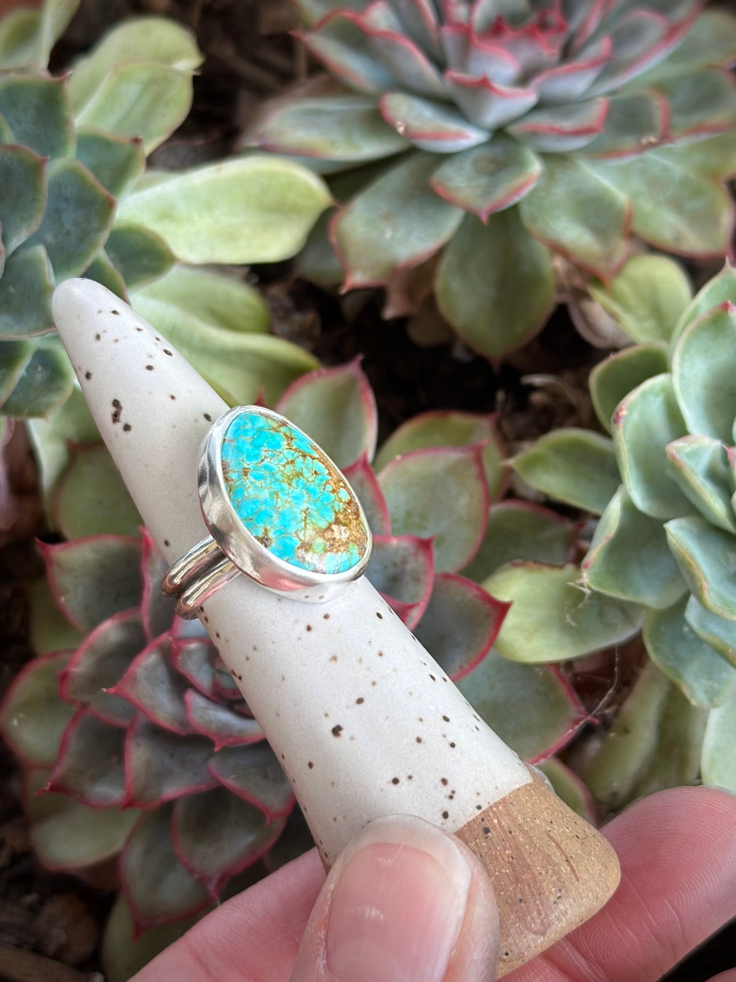 Sierra Bella Turquoise Ring in size 6