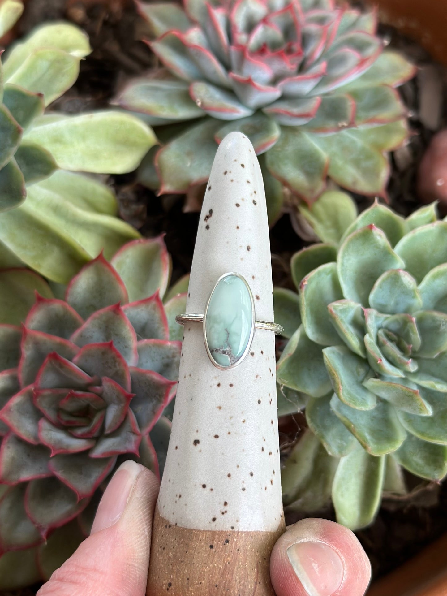 Calypso Variscite Ring in size 6.25