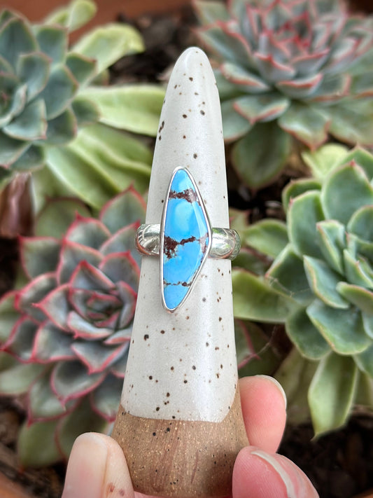 Golden Hills Turquoise Ring size 7