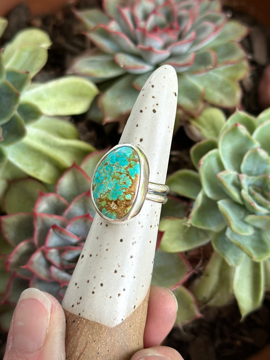 Sierra Bella Turquoise Ring in size 6