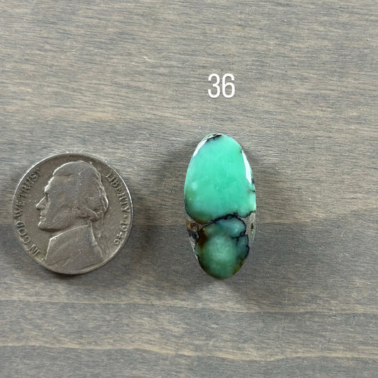 Desert Bloom Variscite Cabochon 36