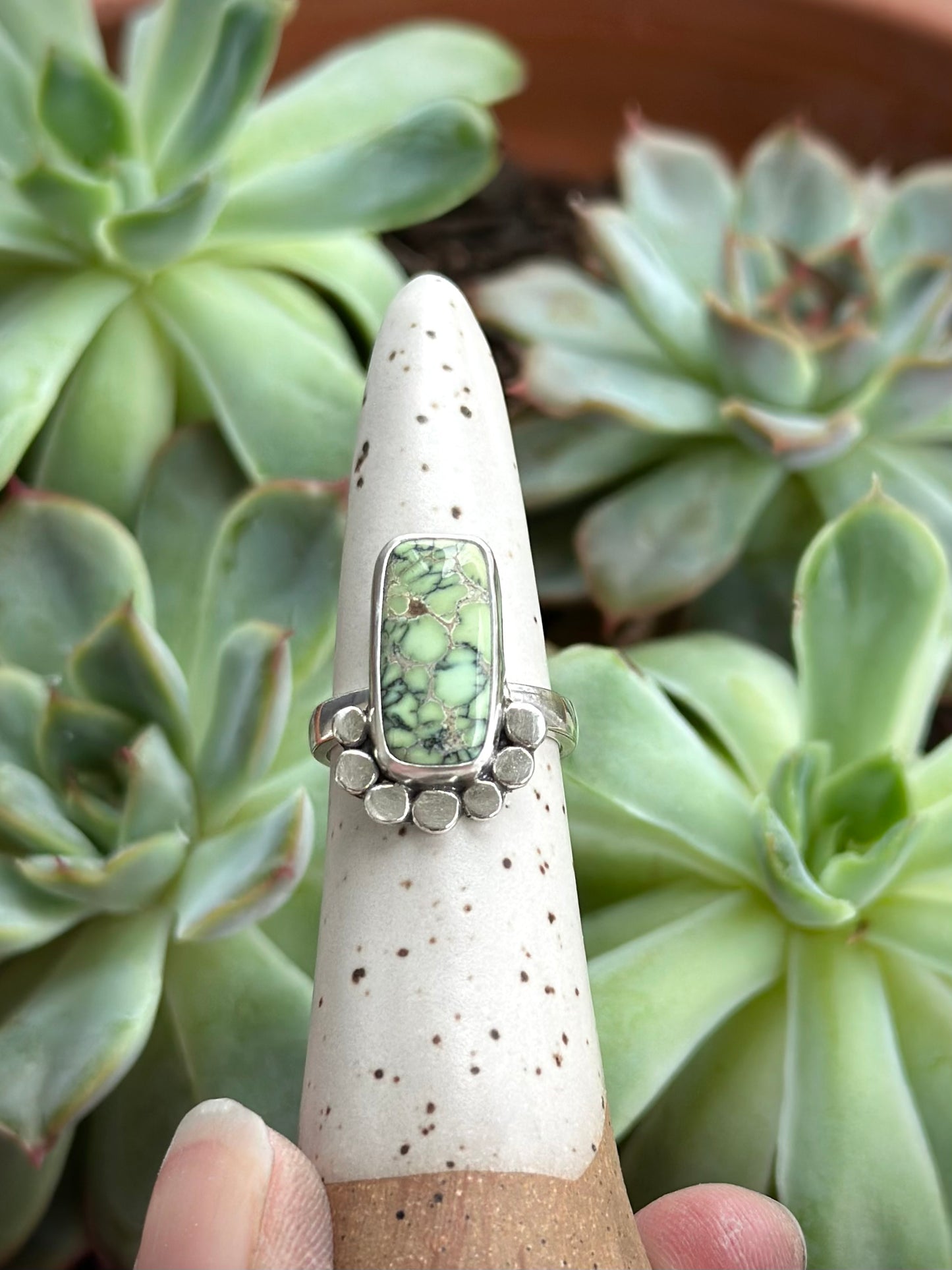 Nautilus Variscite Bar Ring