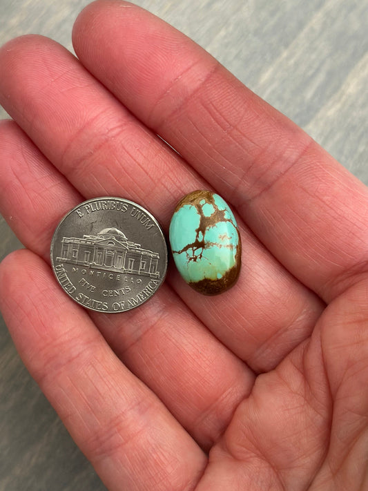 Royston Turquoise Cabochon 13