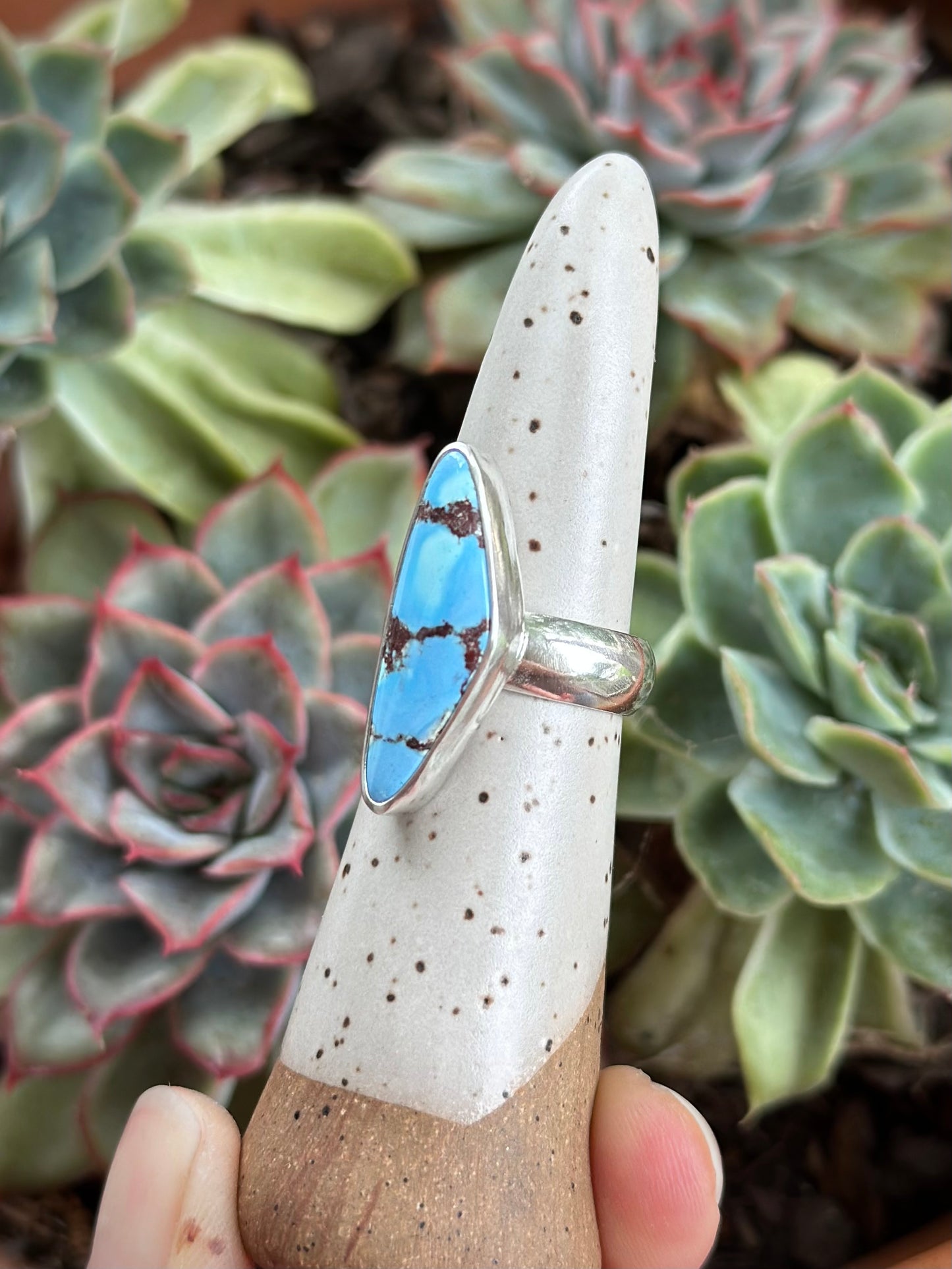 Golden Hills Turquoise Ring size 7