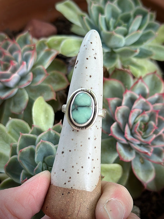 Desert Bloom Variscite Shadowbox Ring in size 6.5