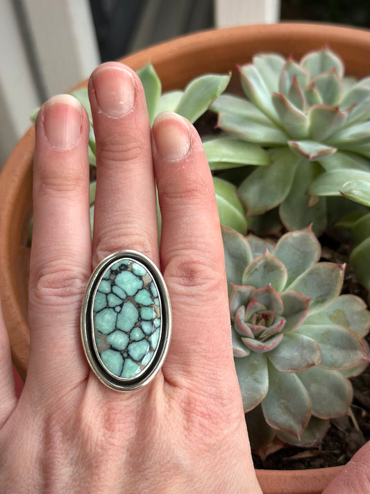 Desert Bloom Variscite Shadowbox Ring in size 9