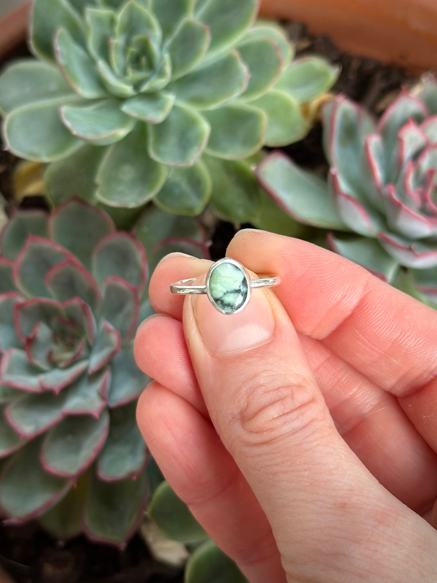 Turtleback Variscite Ring size 7