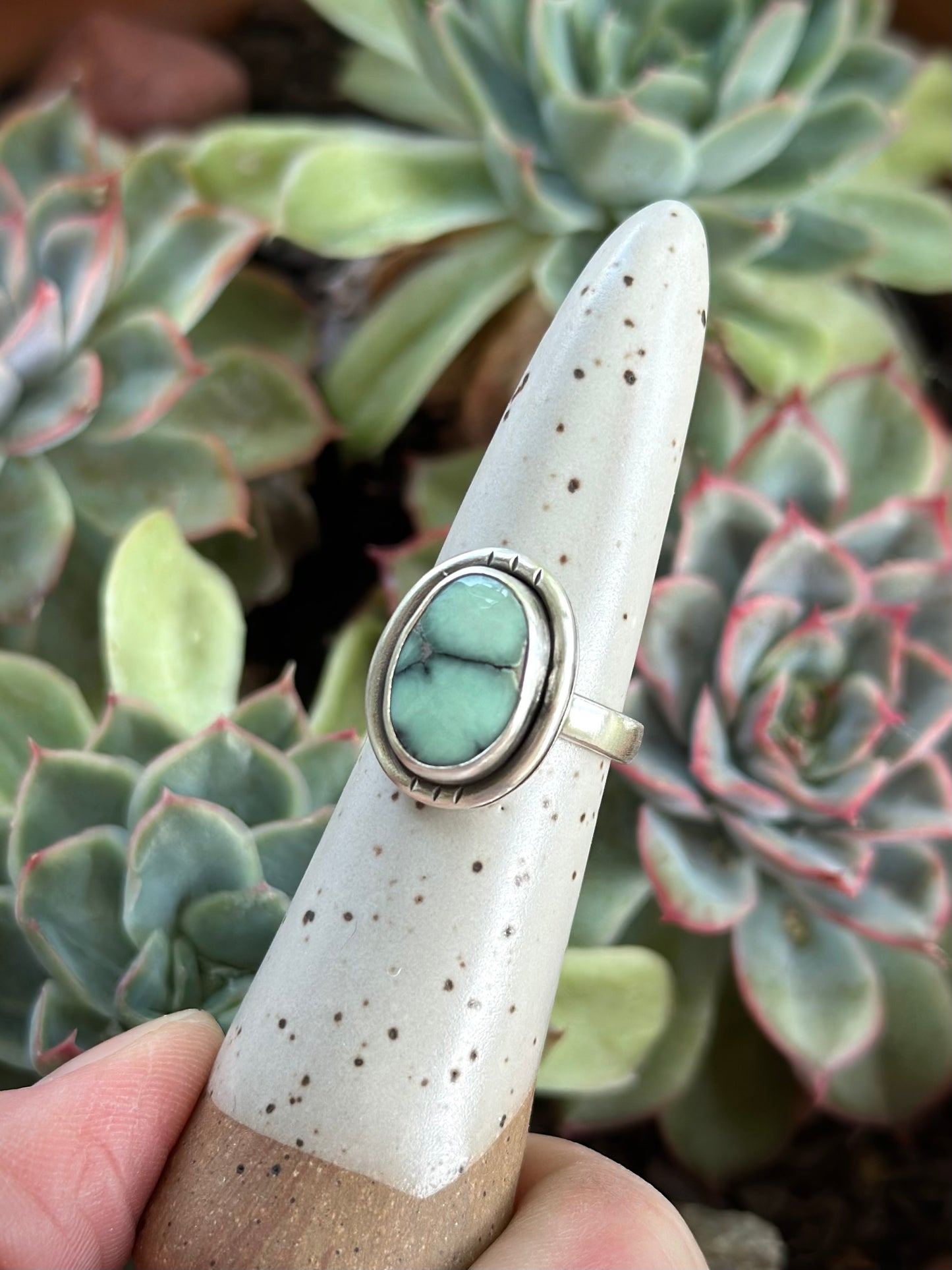 Desert Bloom Variscite Shadowbox Ring in size 6.5