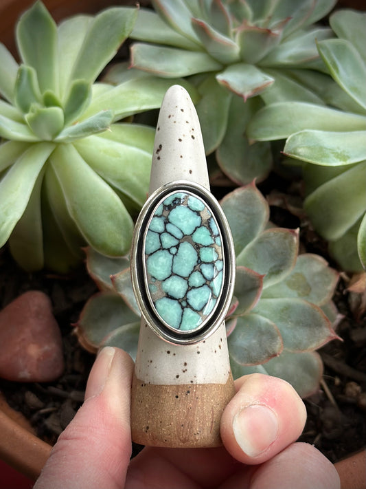 Desert Bloom Variscite Shadowbox Ring in size 9