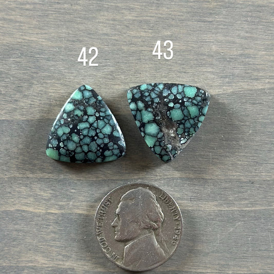 Desert Bloom Variscite Cabochon 42, 43