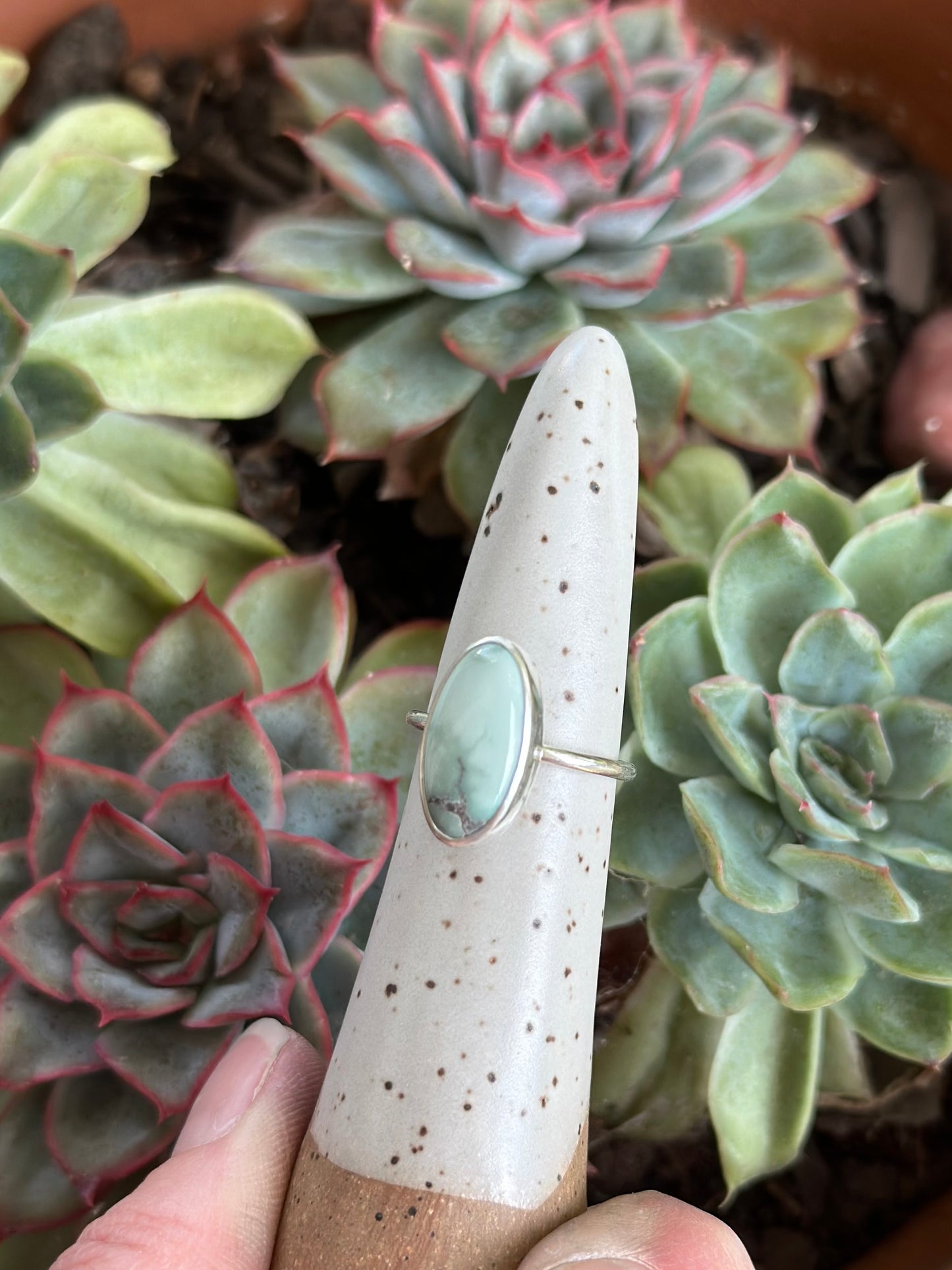 Calypso Variscite Ring in size 6.25