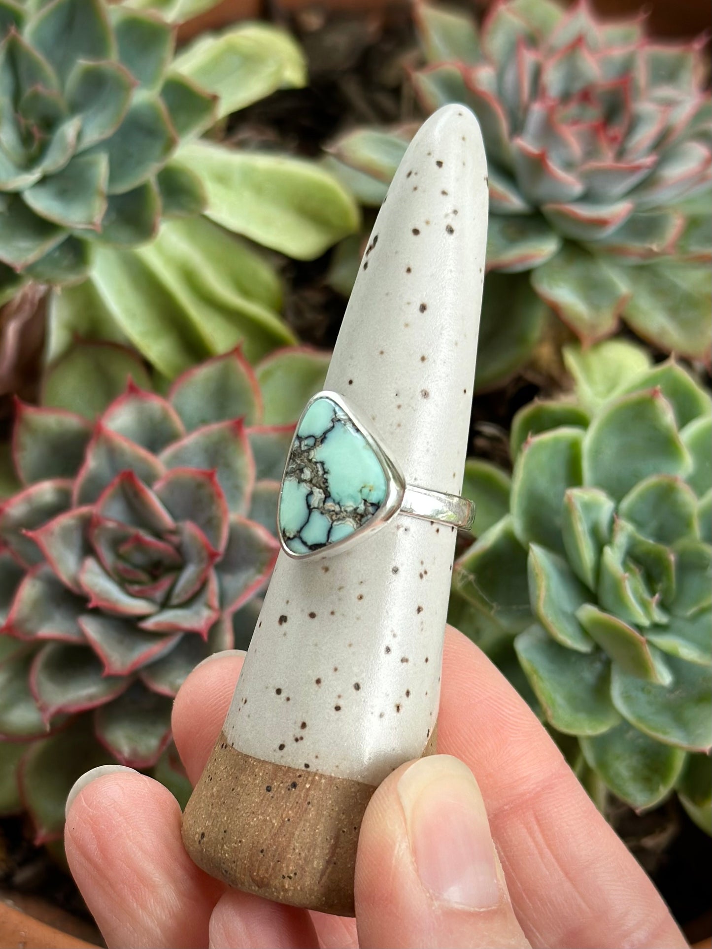 Lost Canyon Variscite Ring size 7.75 to 8