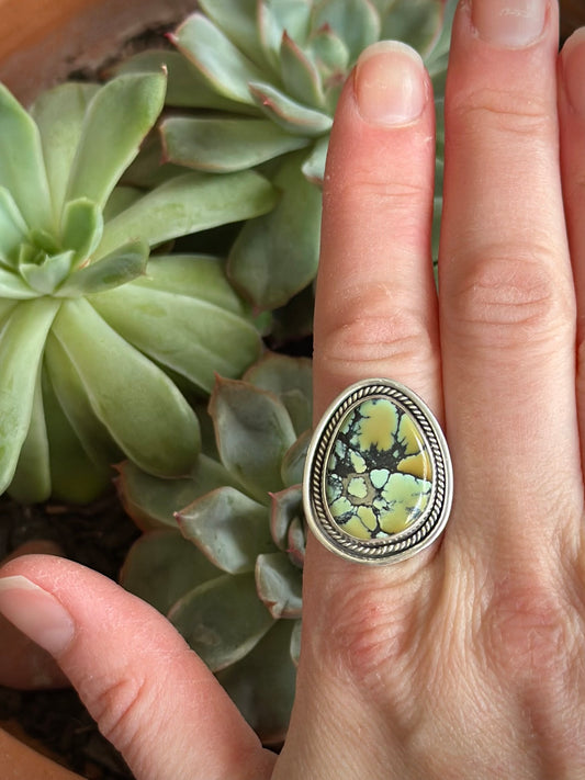 Nautilus Variscite Ring size 8.5