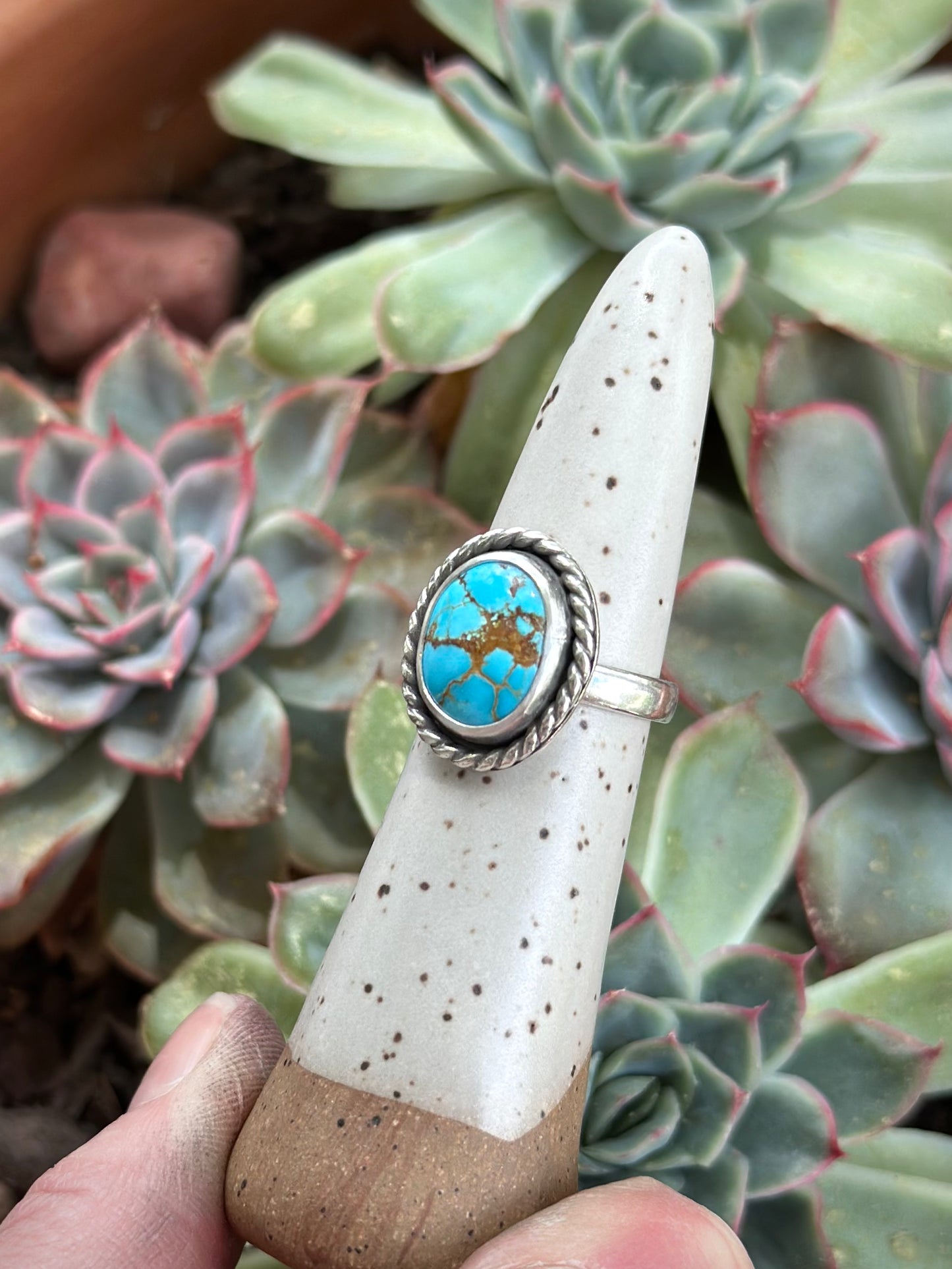 Sierra Bella Turquoise Twist Ring in size 6.5