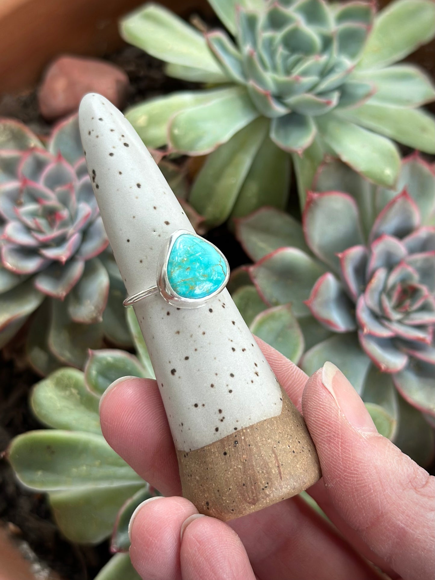 Sierra Bella Turquoise Twist Ring in size 7