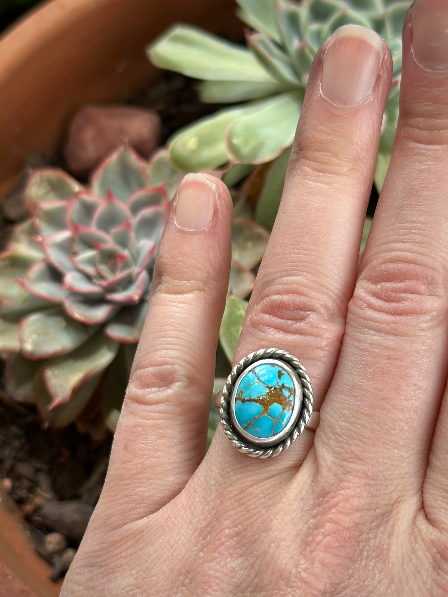 Sierra Bella Turquoise Twist Ring in size 6.5