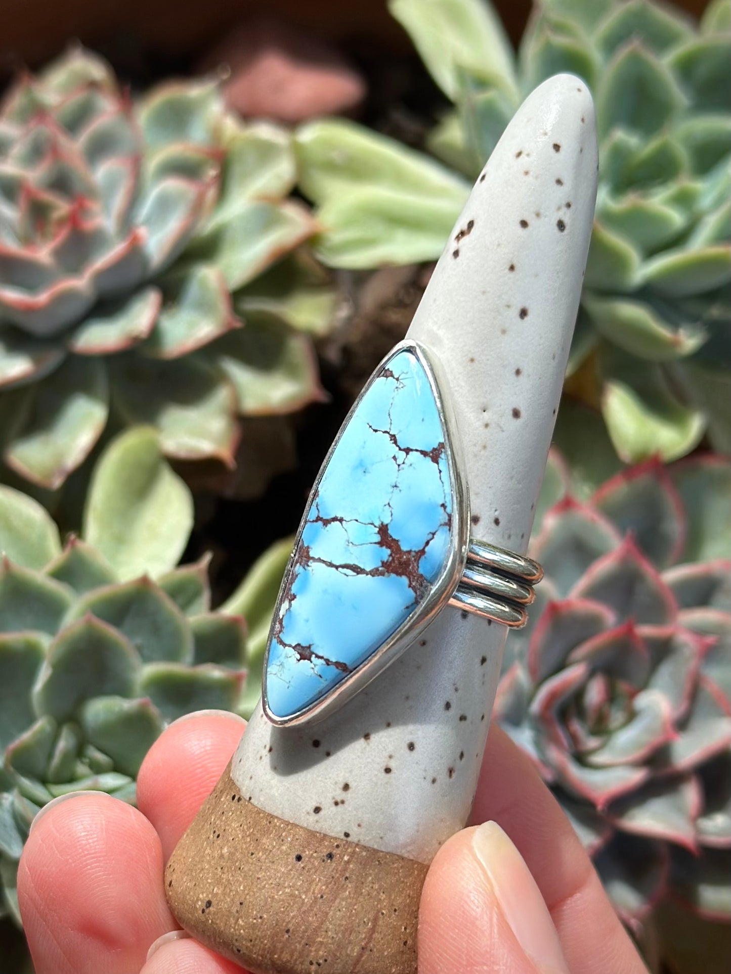 Golden Hills Turquoise Ring size 9