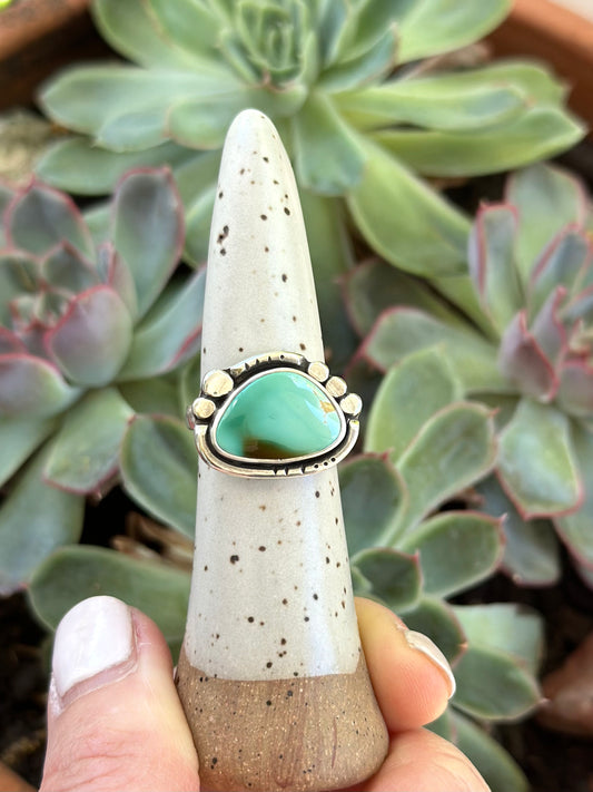 Royston Turquoise Ring in size 6.75