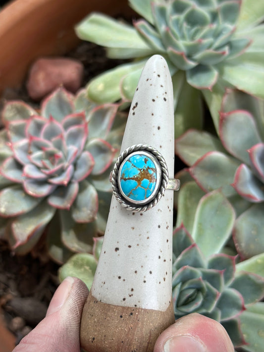 Sierra Bella Turquoise Twist Ring in size 6.5