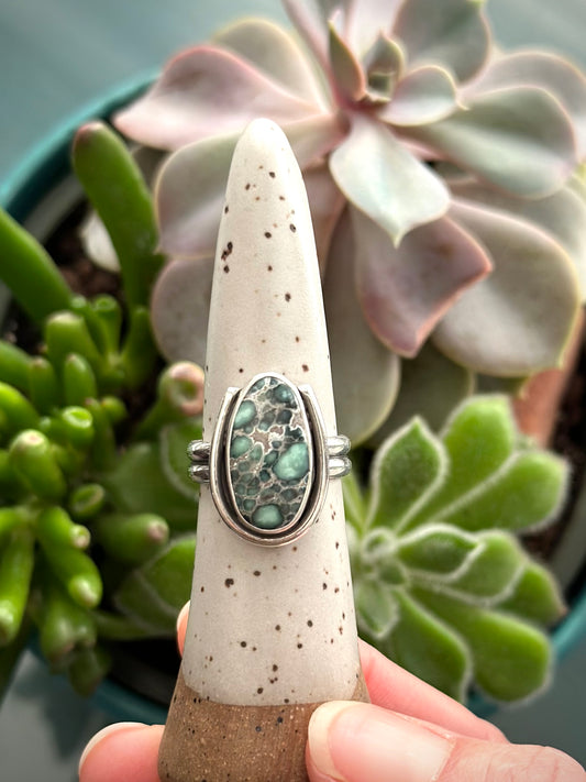 Calypso Variscite Framed Ring in size 7.75