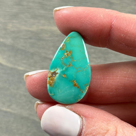 Hardy Pit Turquoise Cabochon 70