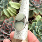 Ivory Desert Bloom Variscite Ring size 8.5 to 8.75