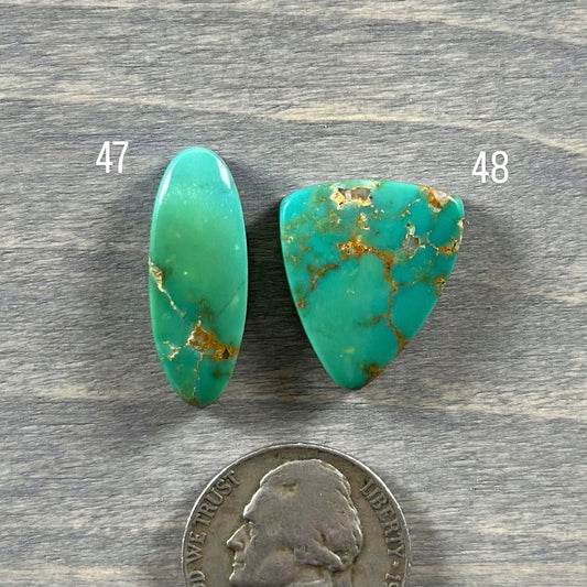 Hardy Pit Turquoise Cabochon 47 48