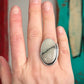 Ivory Desert Bloom Variscite Ring Art Deco in size 8