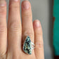 Nautilus Variscite Ring in size 7.75