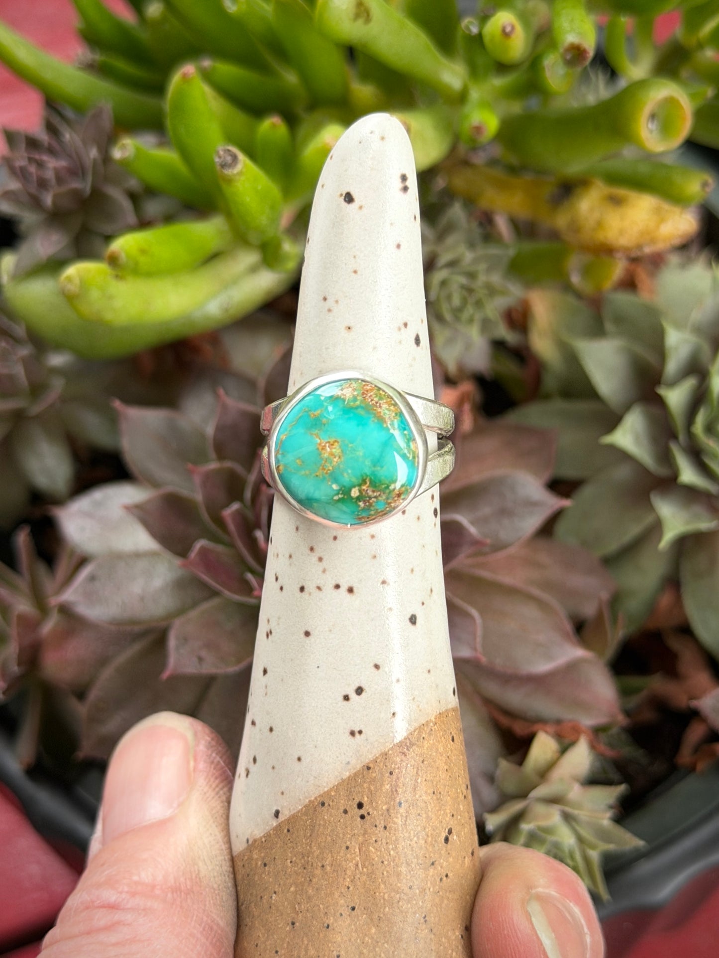 Emerald Valley Turquoise Ring size 6