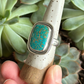 Catalina Turquoise Shadowbox Ring in size 9