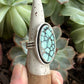 Desert Bloom Variscite Shadowbox Ring in size 9