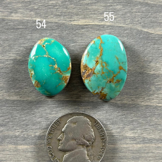 Hardy Pit Turquoise Cabochon 54 55