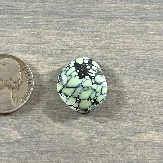 New Lander Variscite Cabochon Z