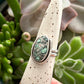 Calypso Variscite Framed Ring in size 7.75